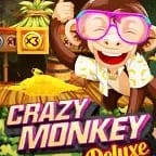 Crazy Monkey Deluxe game icon
